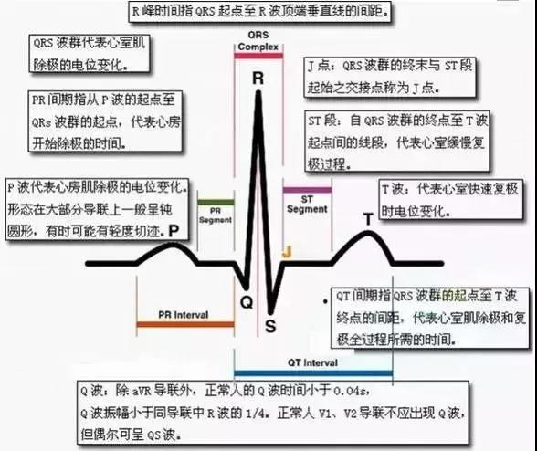 每年必考！临床执业医师技能考试心电图记忆口诀